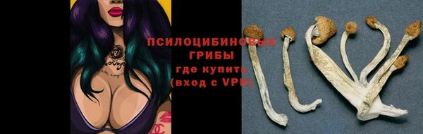 2c-b Ладушкин