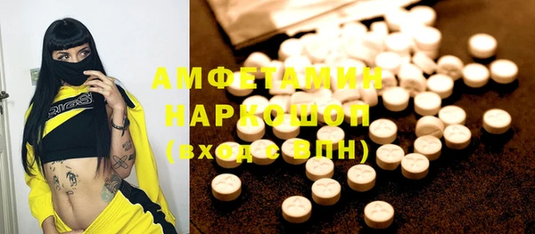 твердый Лагань