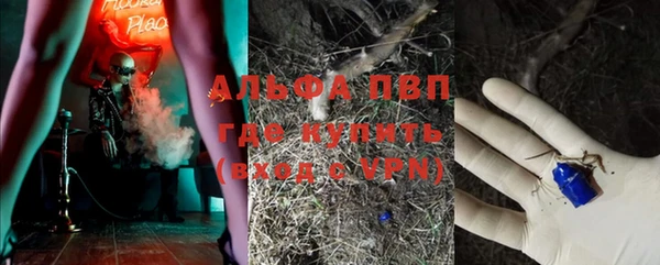 ГАЛЛЮЦИНОГЕННЫЕ ГРИБЫ Лабытнанги