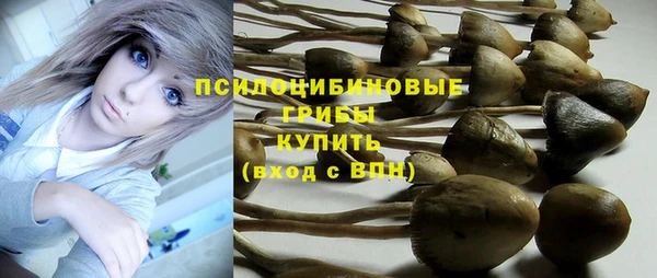 твердый Лагань