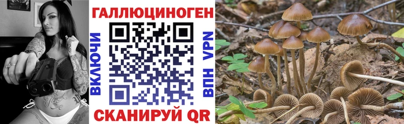 Галлюциногенные грибы мухоморы купить наркотики сайты OMG Тутаев